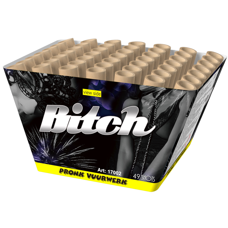 Bitch.png
