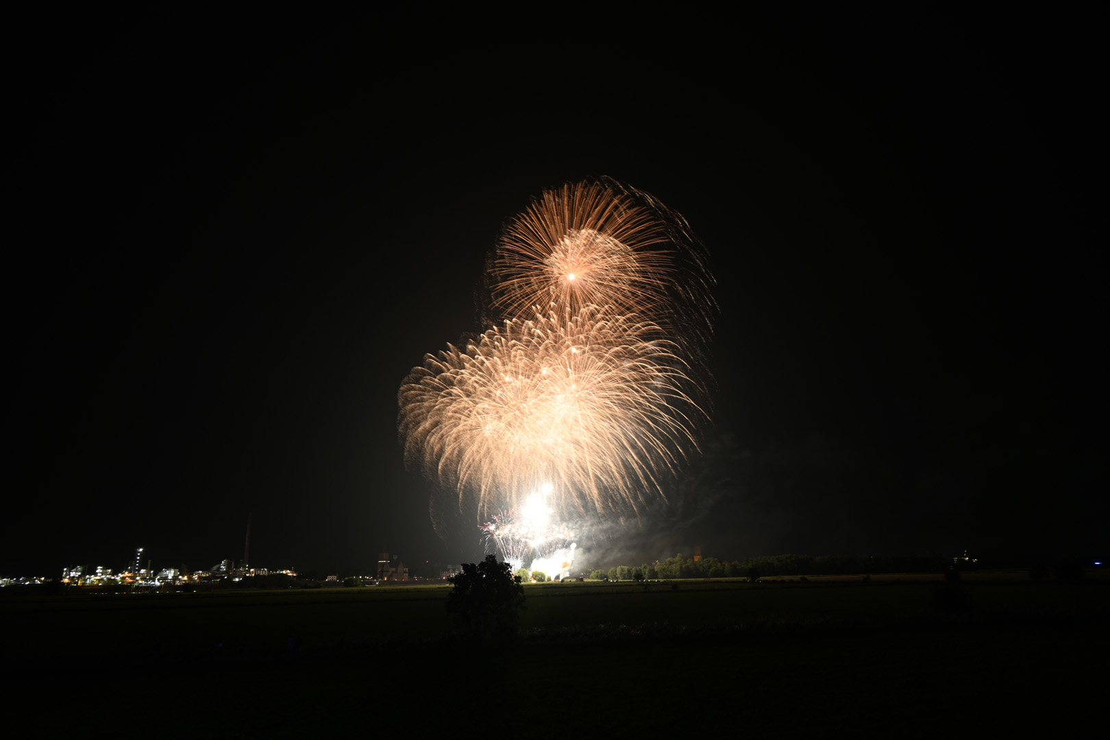 DSC_0674.jpg