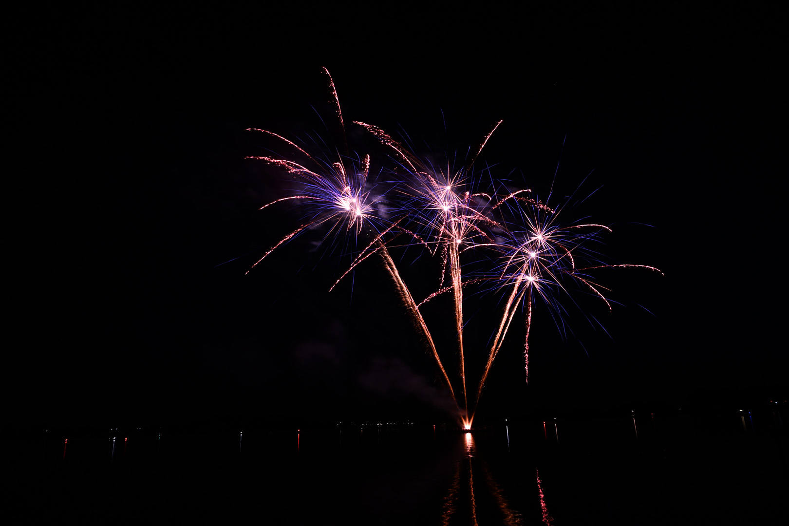 DSC_0767.jpg