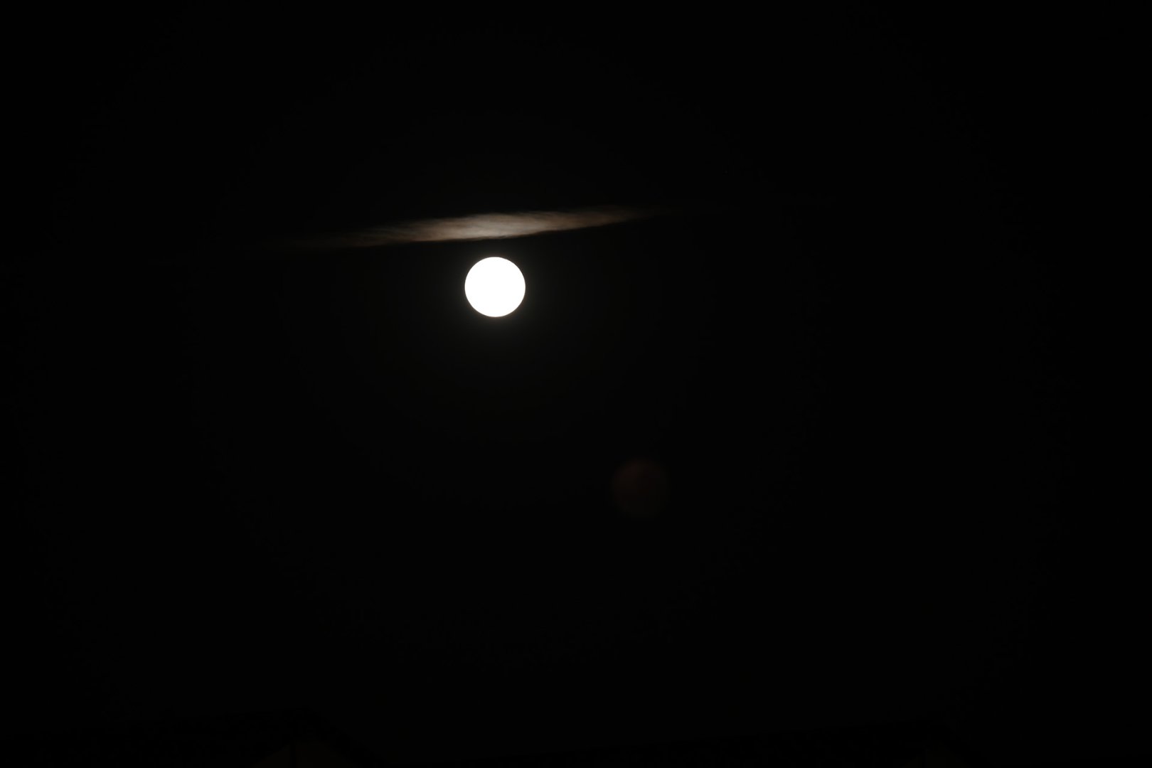 DSC_0856.jpg