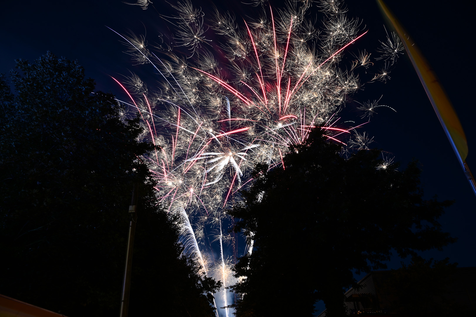 DSC_0898.jpg