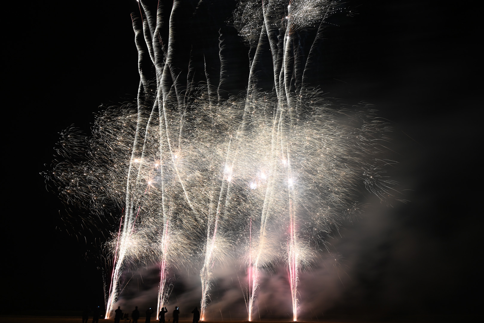 DSC_1203.jpg