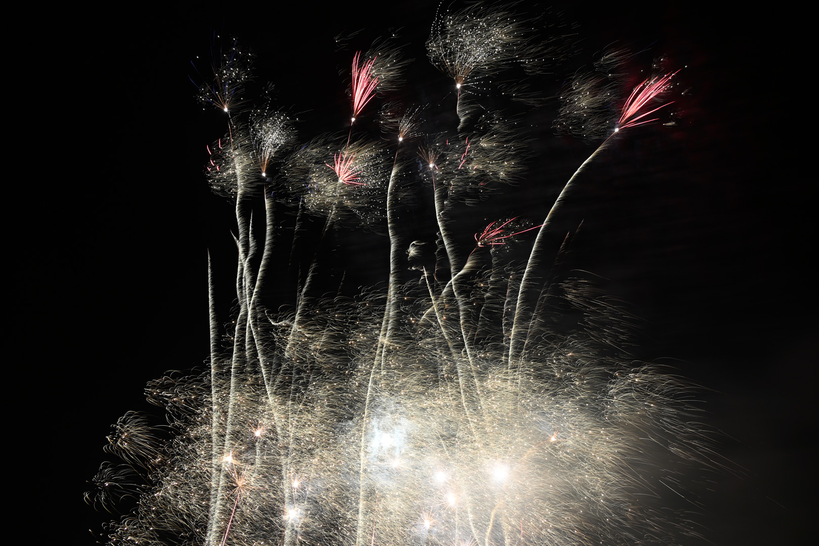 DSC_1205.jpg