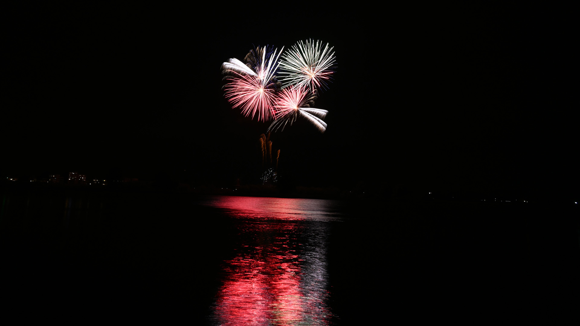DSC_1238.jpg