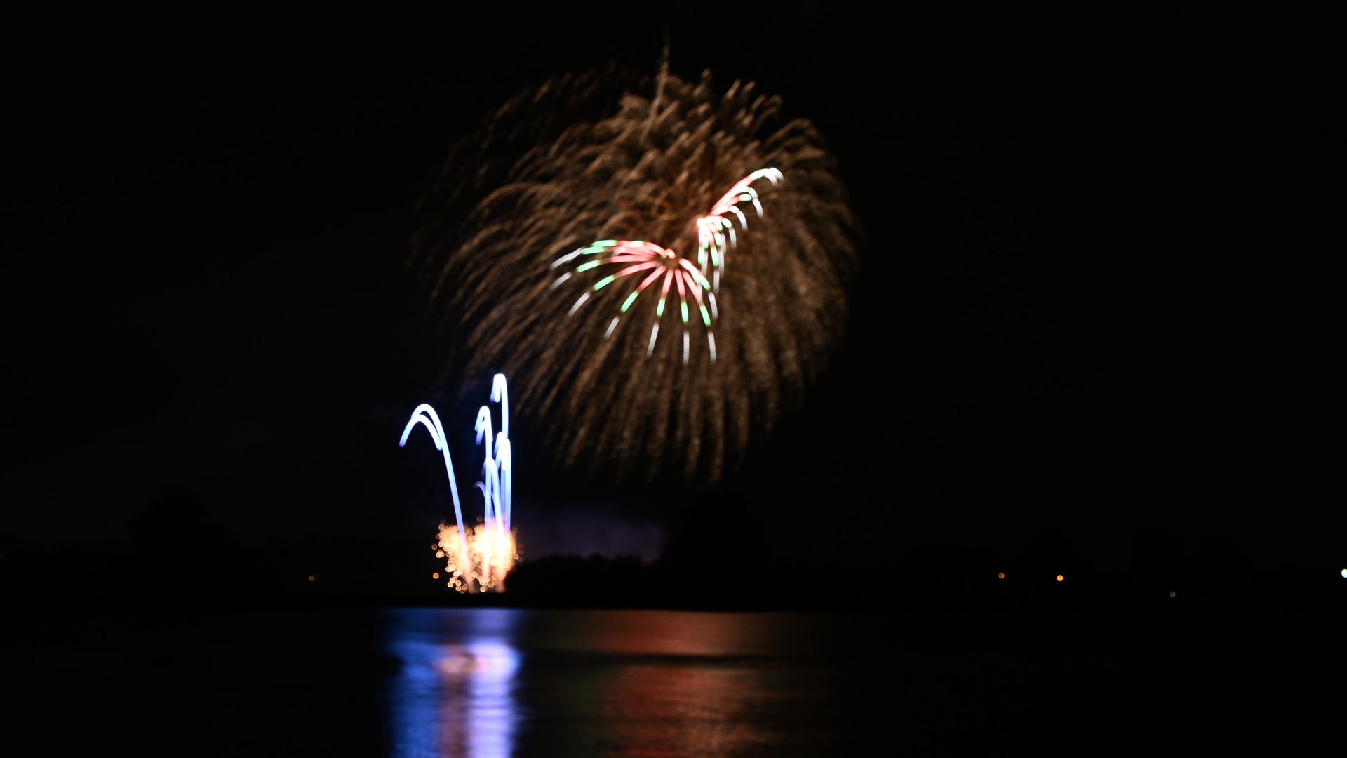 DSC_1319.jpg
