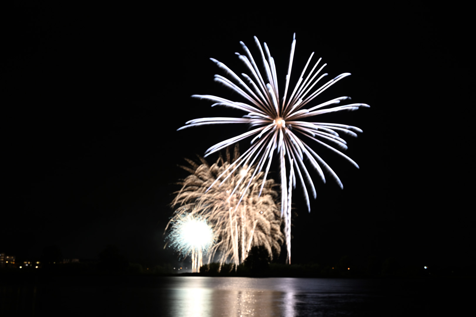 DSC_1335.jpg