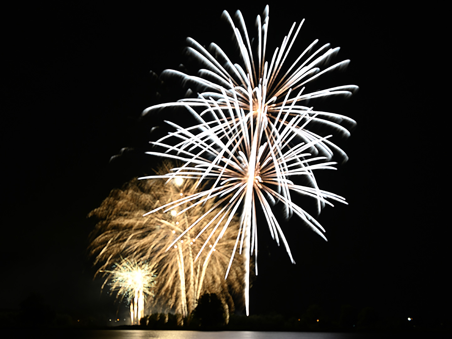 DSC_1336.jpg