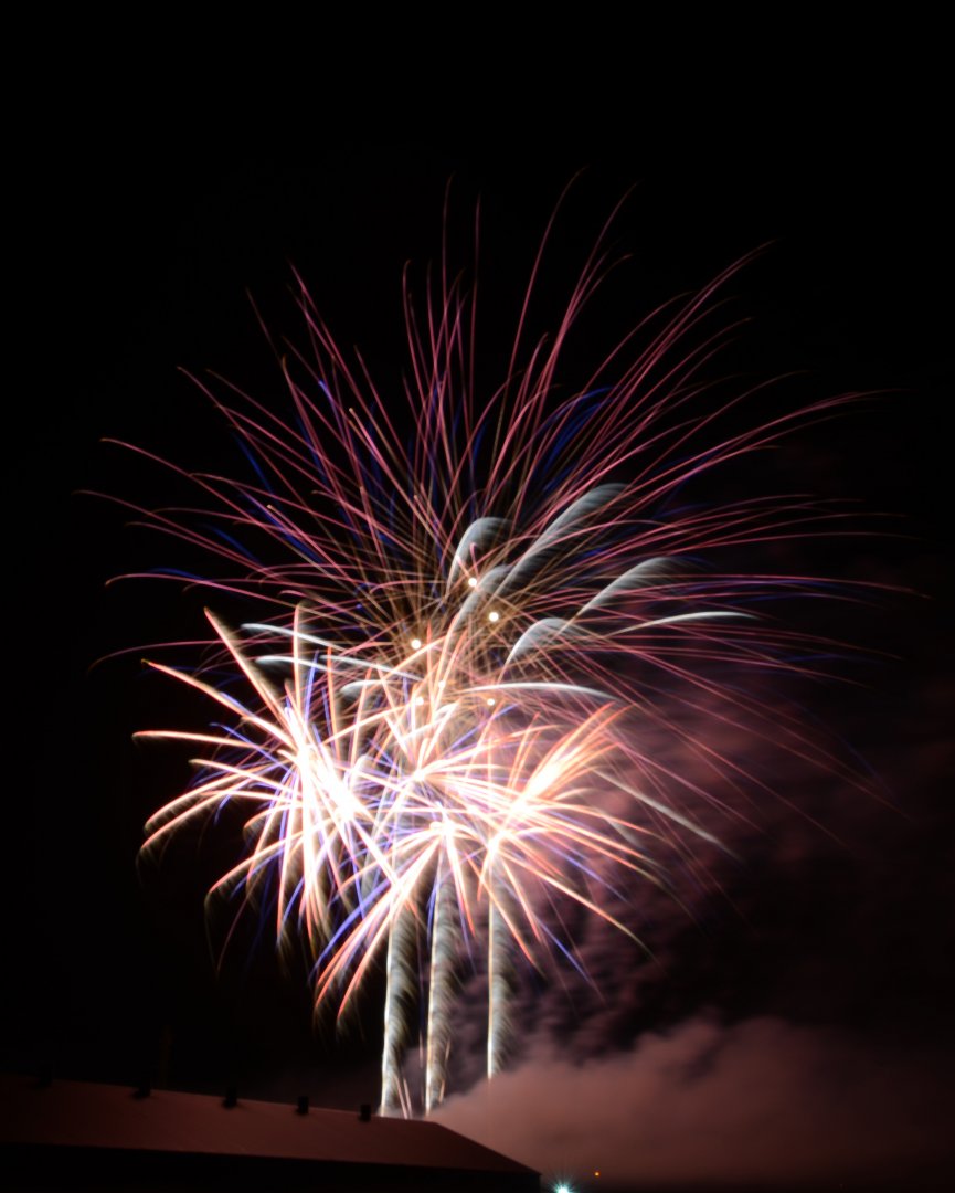 DSC_1350.JPG
