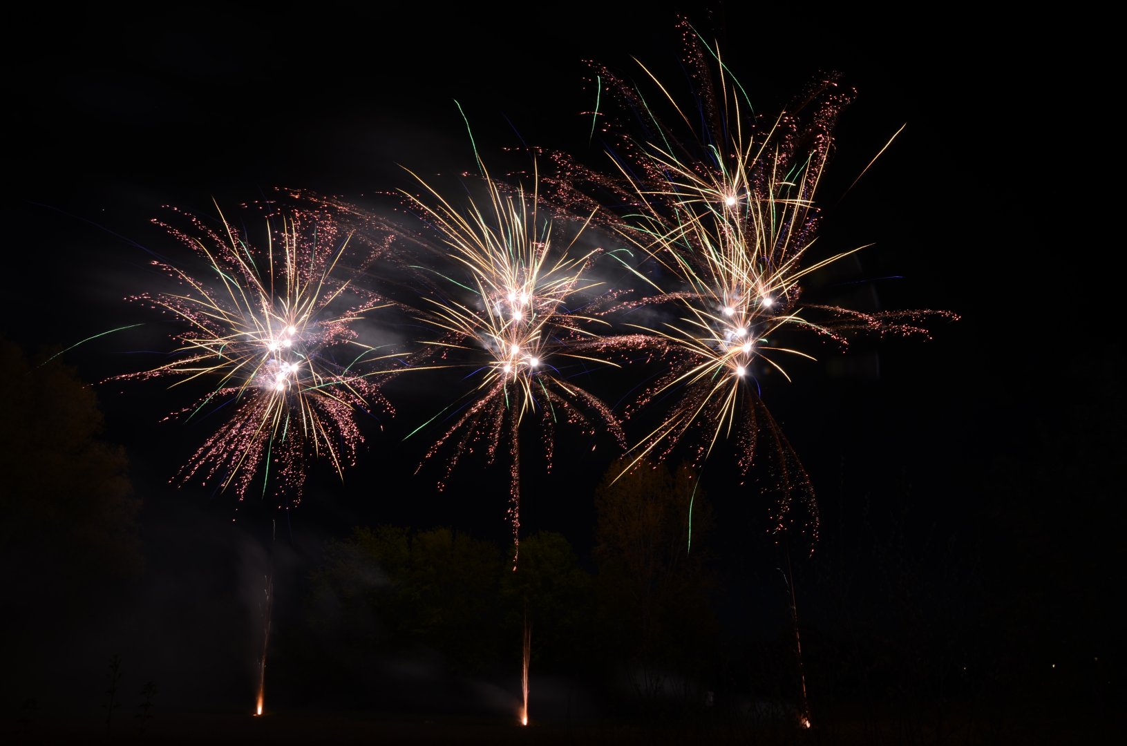 DSC_1578.JPG