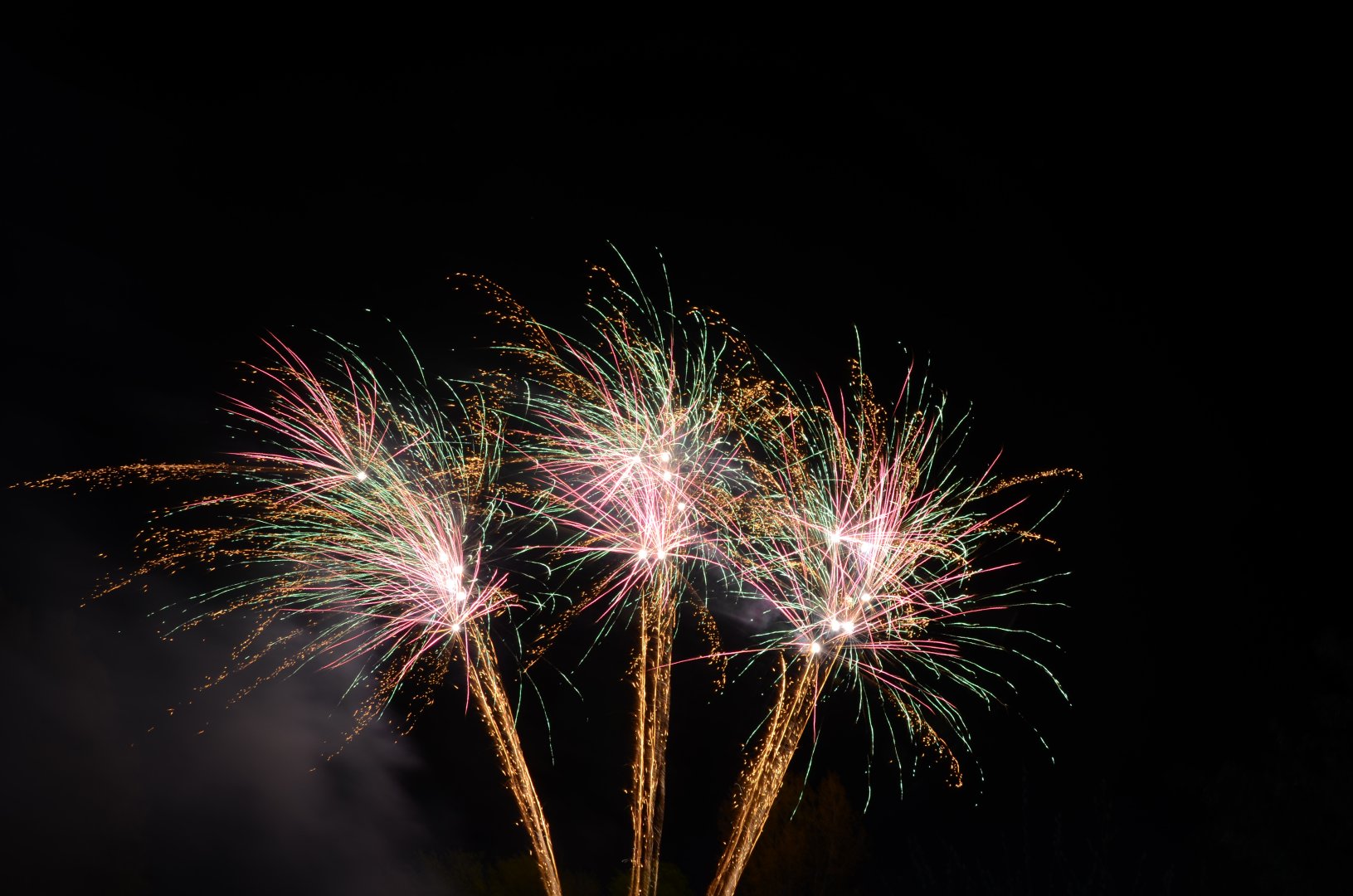 DSC_1596.JPG