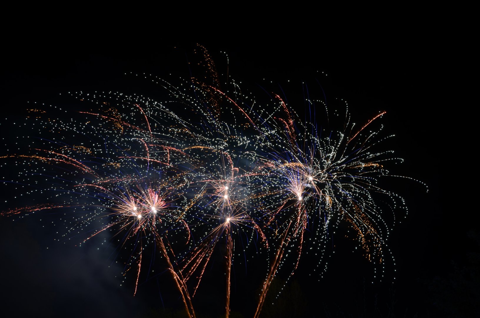 DSC_1597.JPG