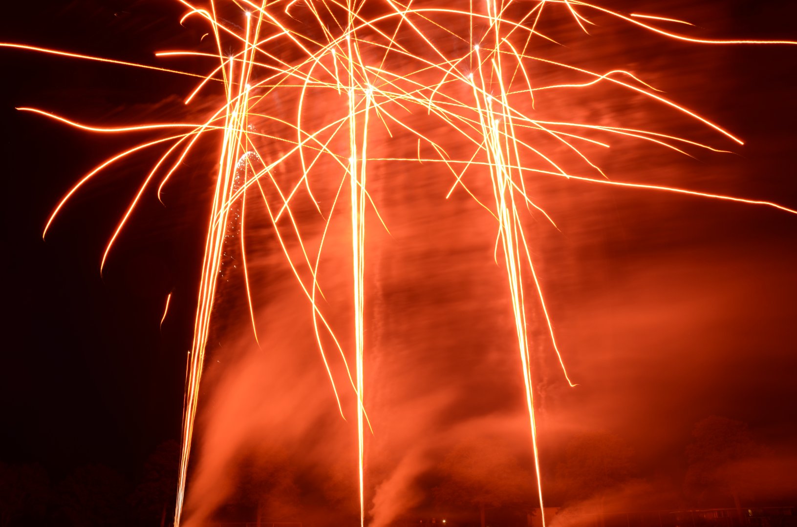 DSC_1671.JPG