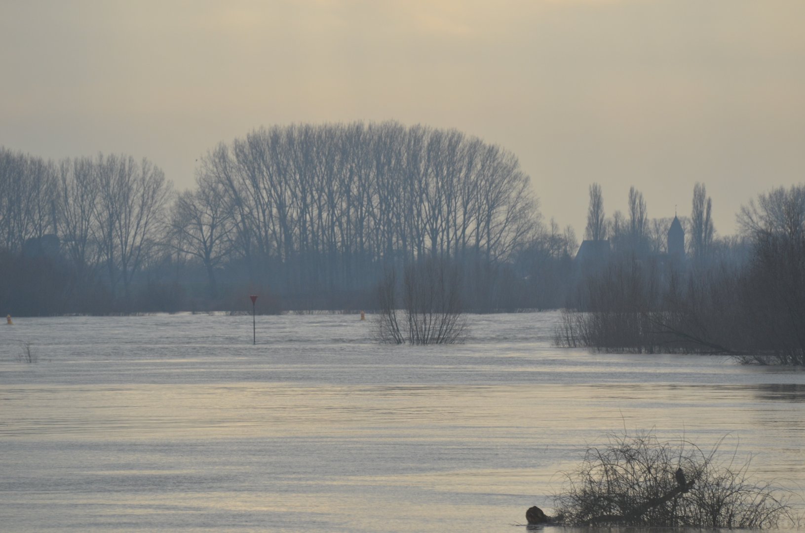DSC_1696.JPG