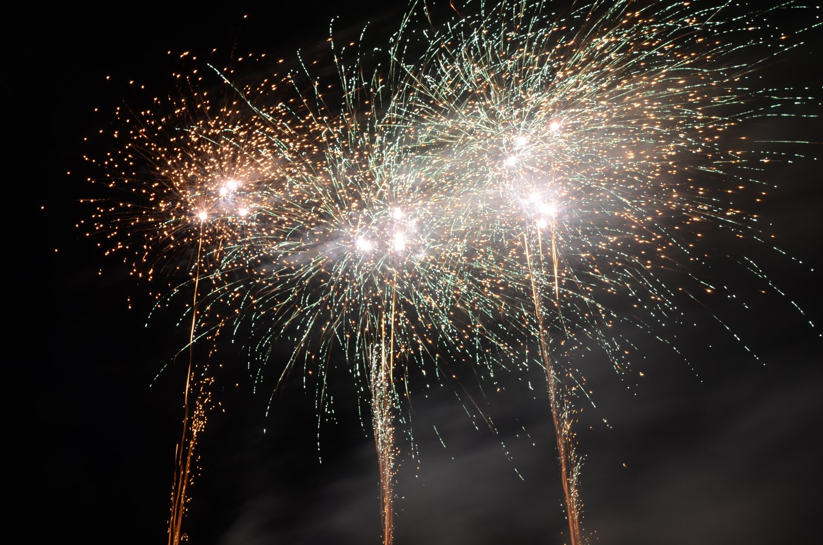 DSC_1784.JPG