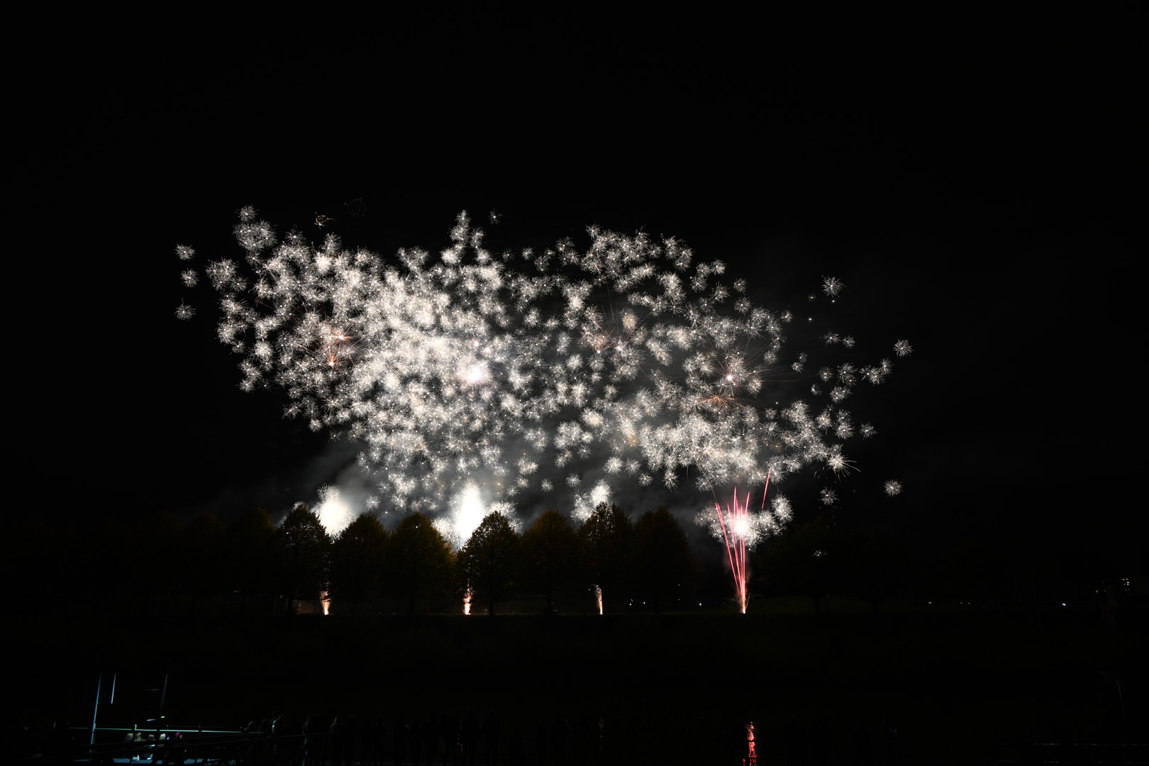 DSC_1801.jpg