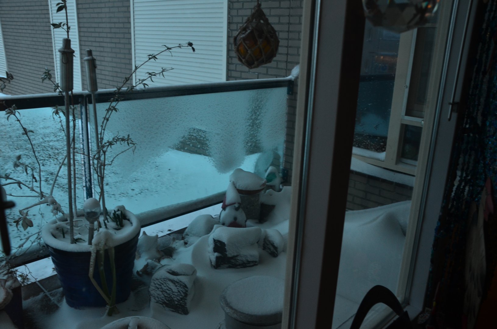 DSC_1839.JPG