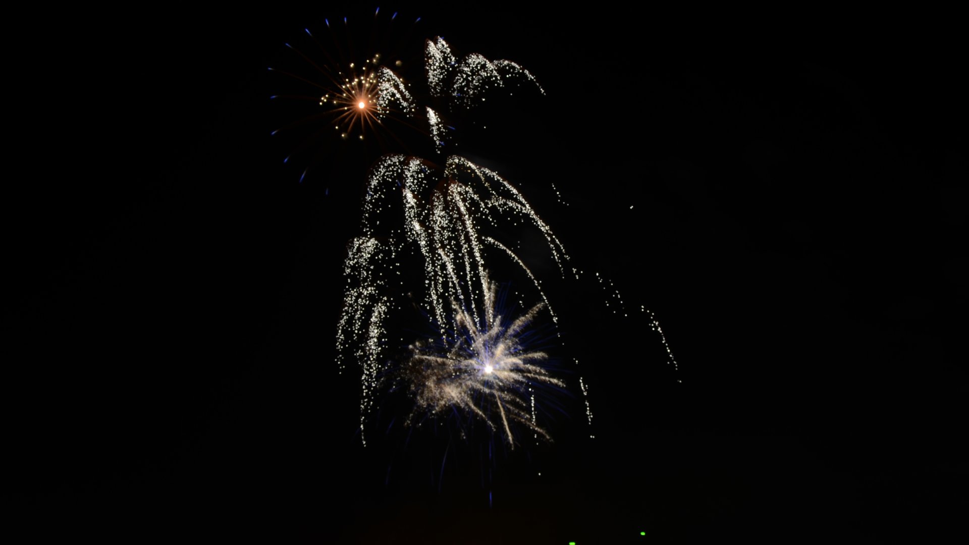 DSC_1851.JPG