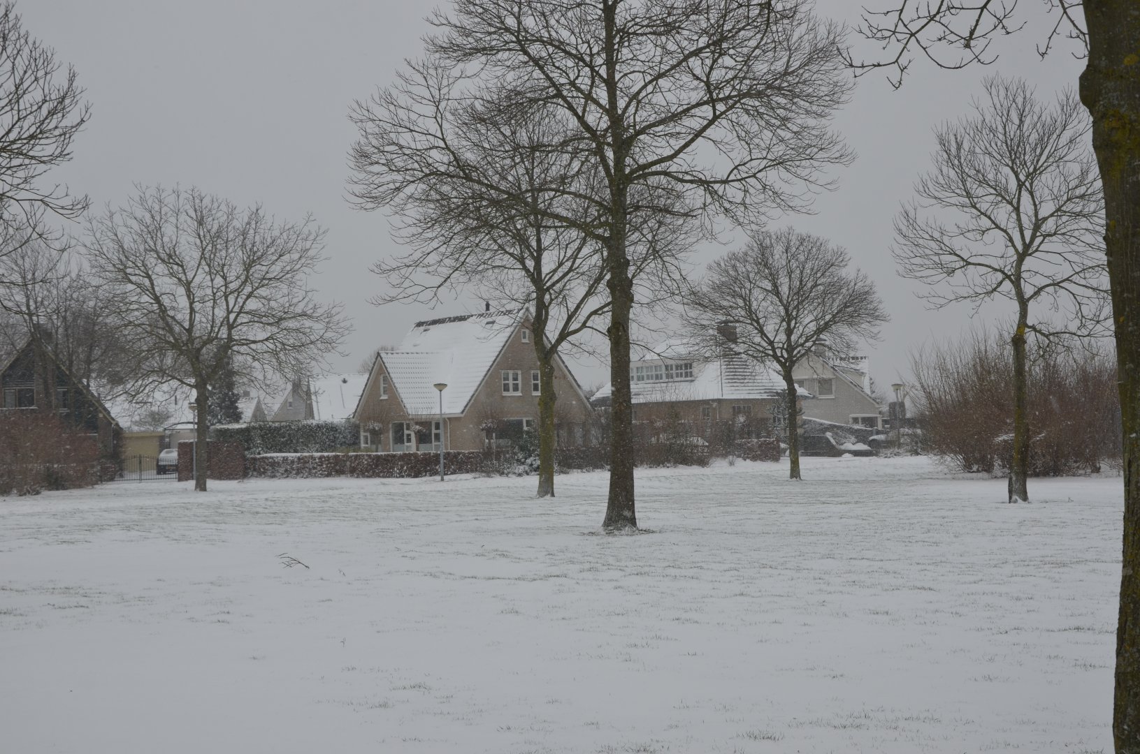 DSC_1863.JPG