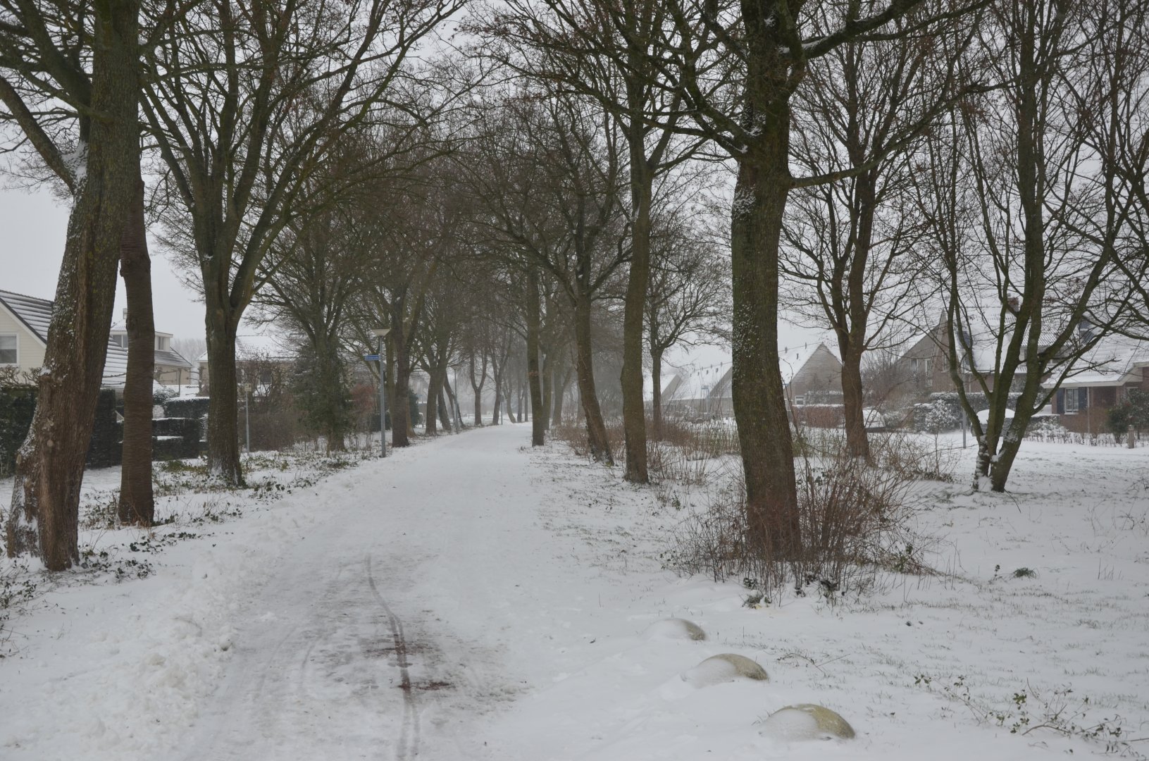 DSC_1865.JPG