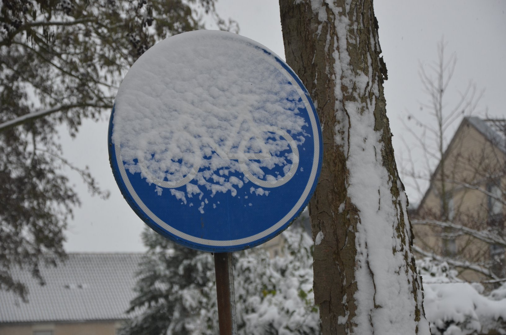 DSC_1867.JPG