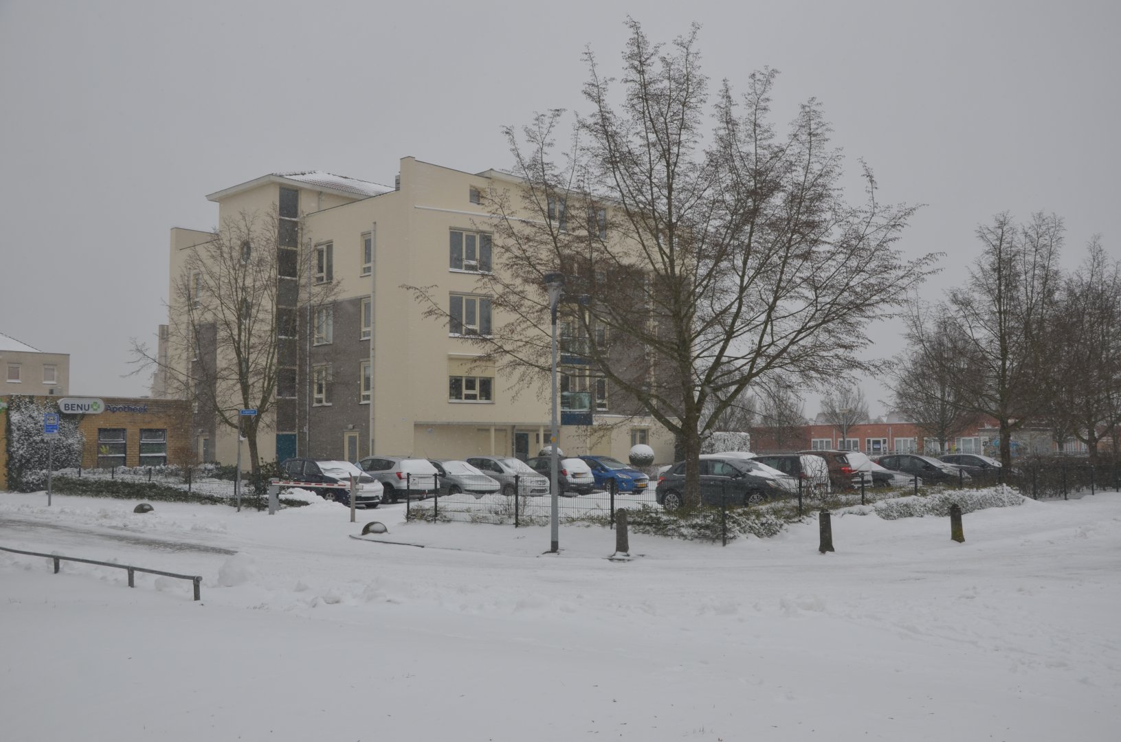 DSC_1869.JPG