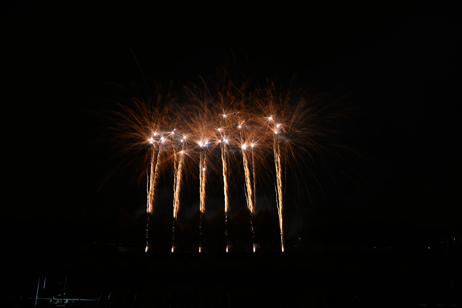 DSC_1903.jpg