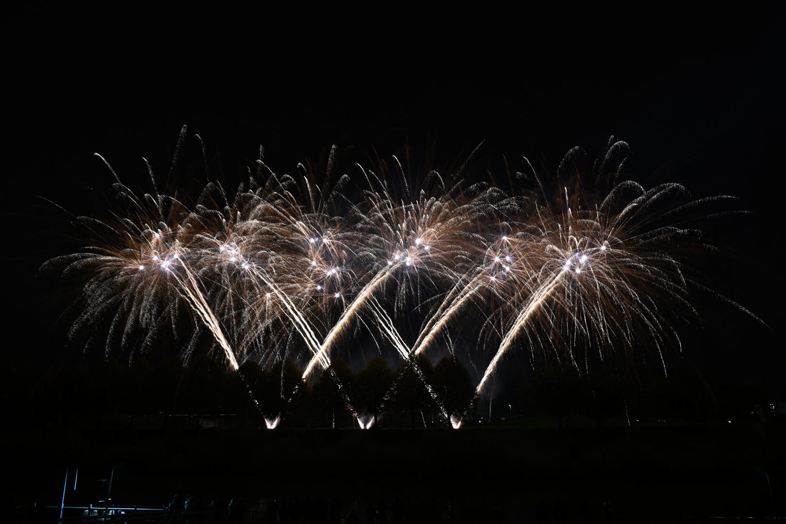 DSC_1910.jpg