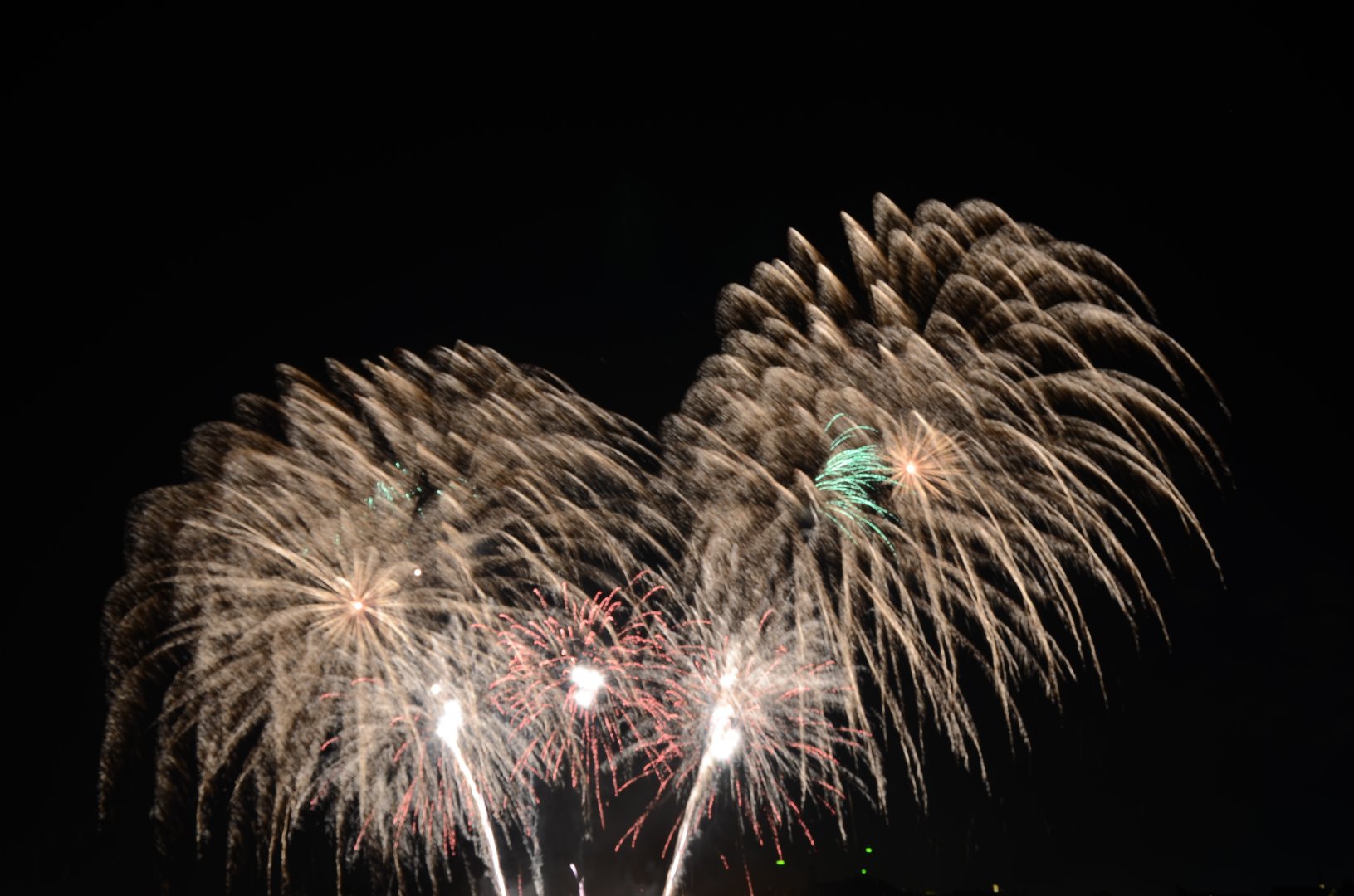 DSC_1923.JPG