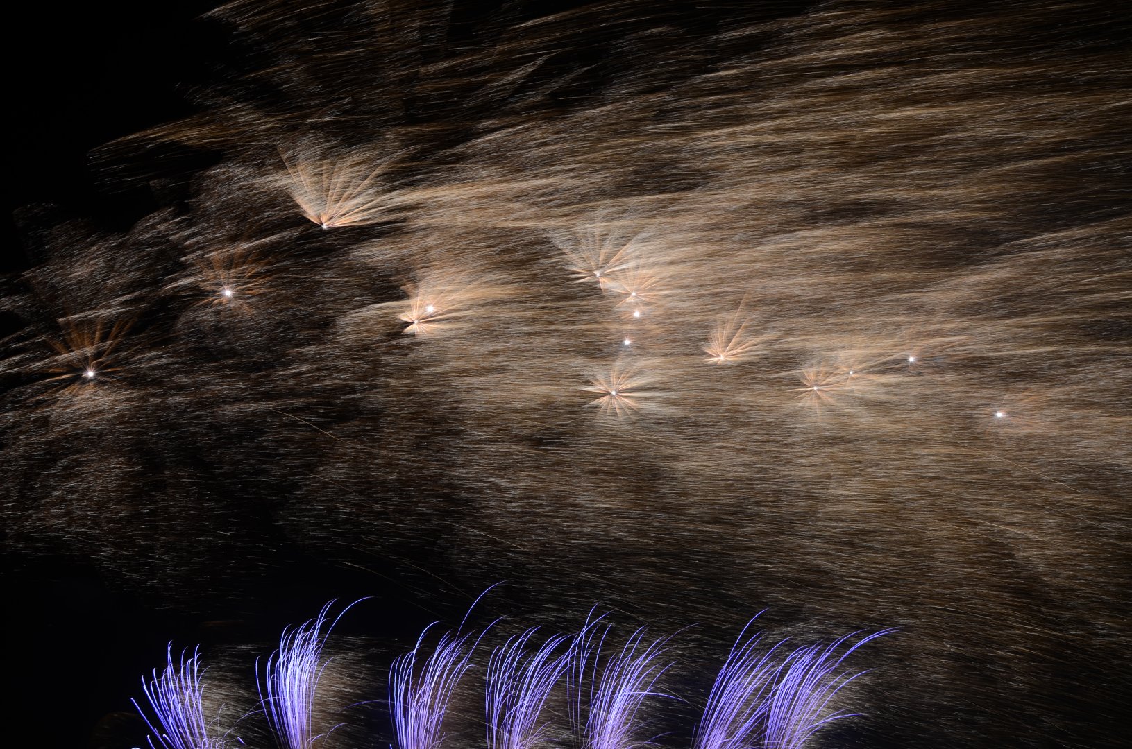 DSC_2114.JPG