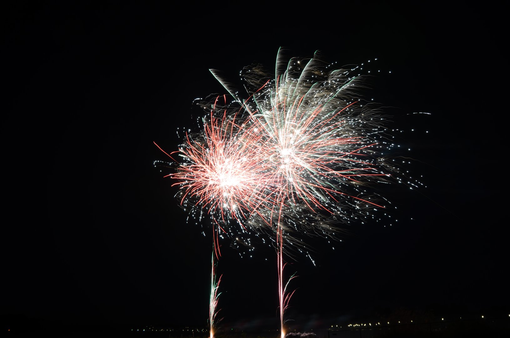 DSC_2172.JPG