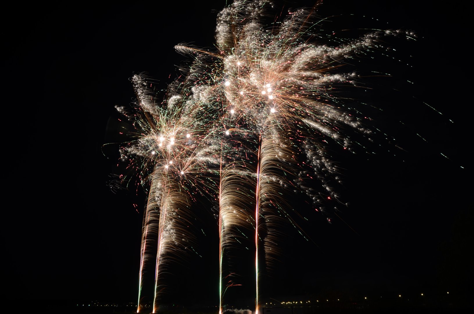 DSC_2198.JPG