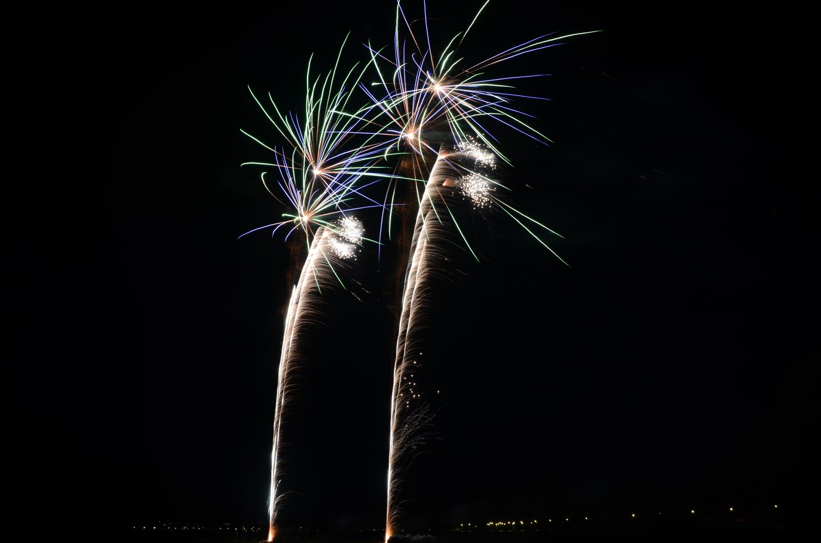 DSC_2210.JPG