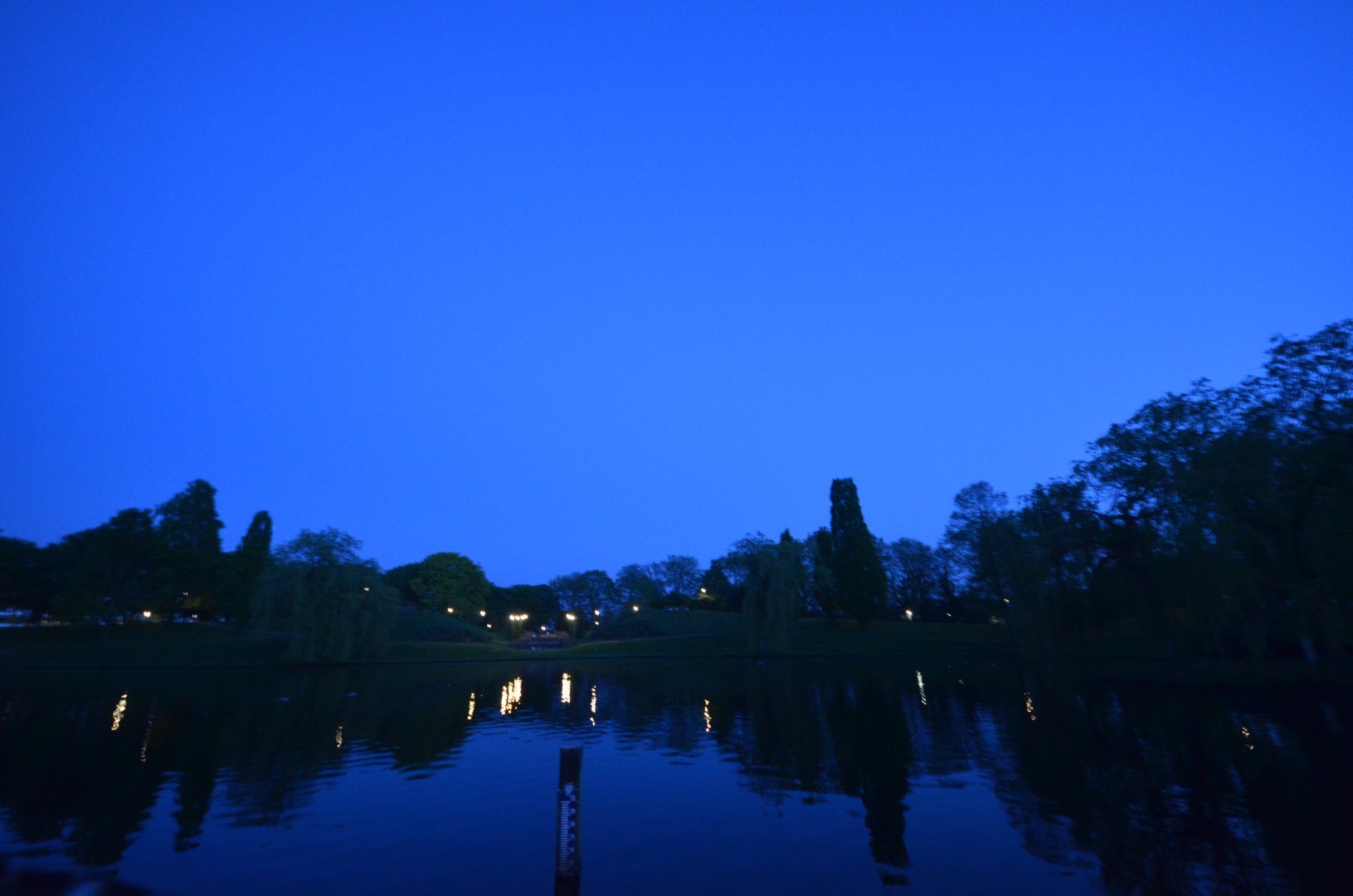 DSC_2946.JPG