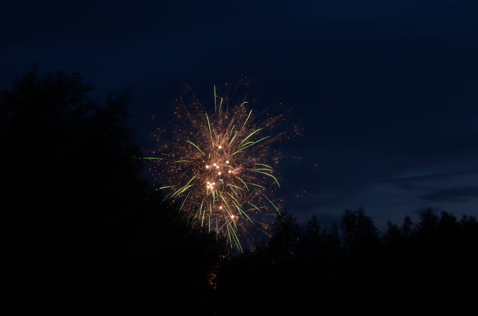 DSC_3367.JPG