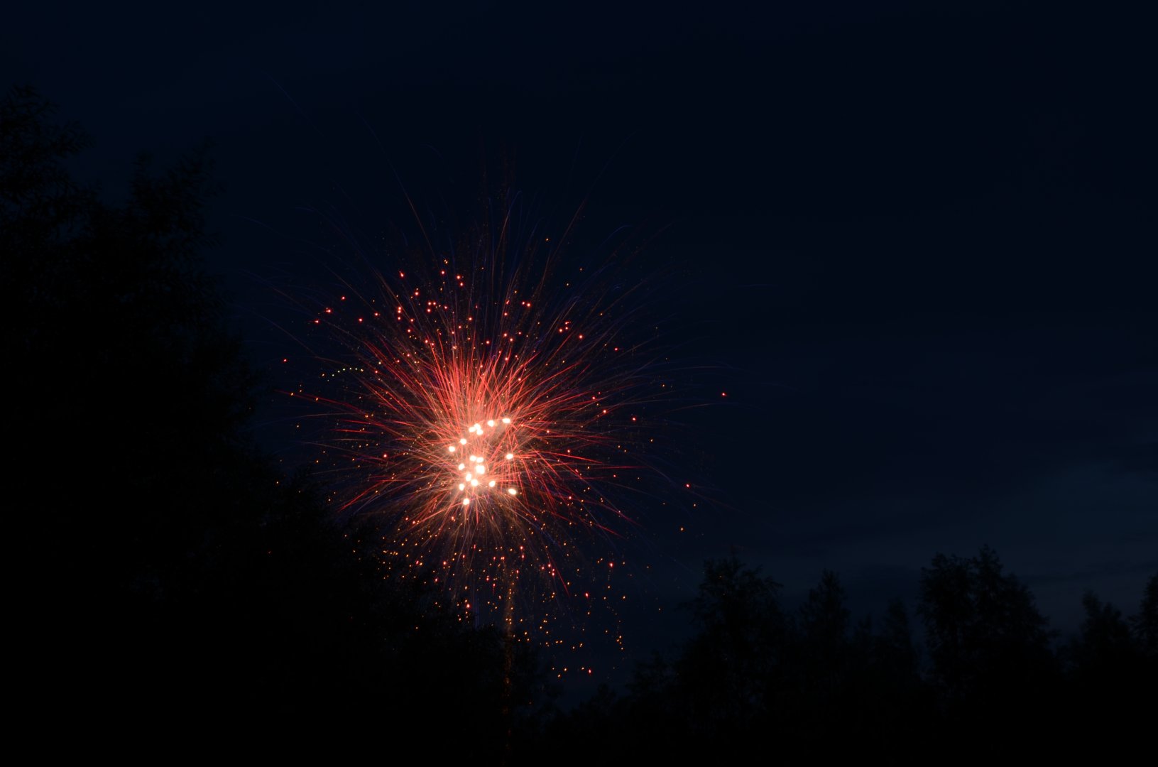DSC_3374.JPG