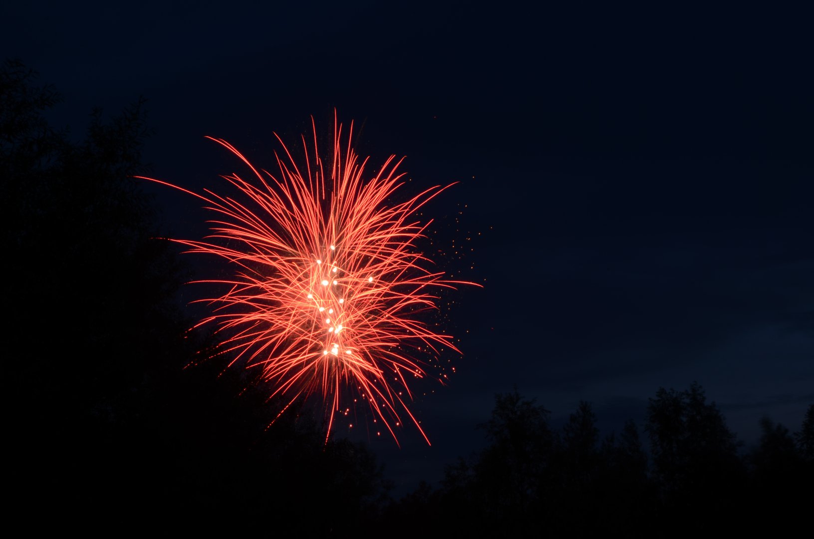 DSC_3376.JPG