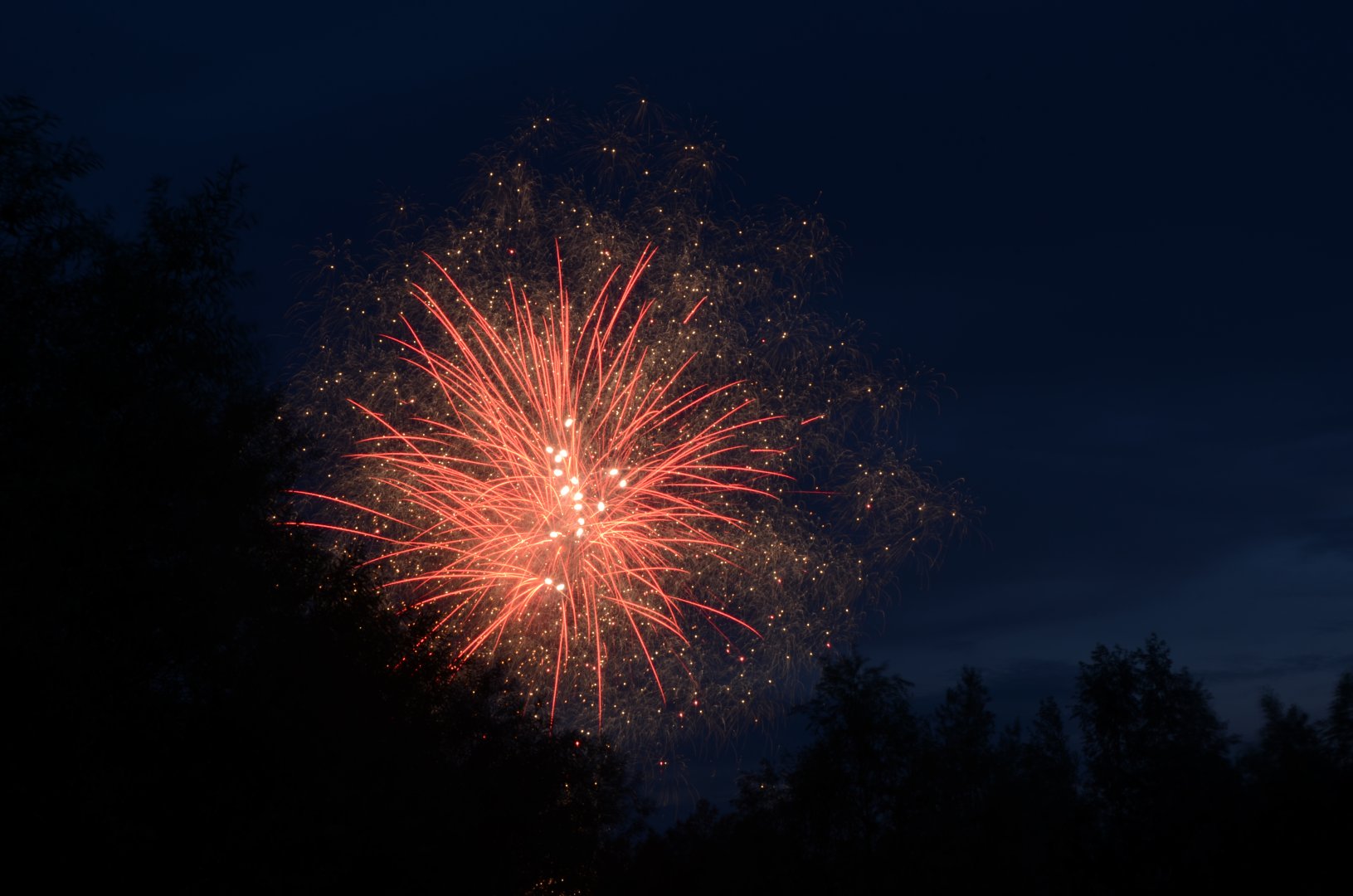 DSC_3377.JPG