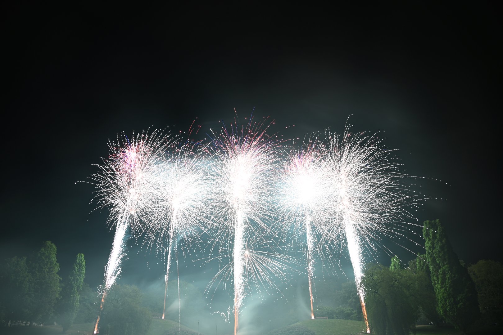 DSC_3444.JPG
