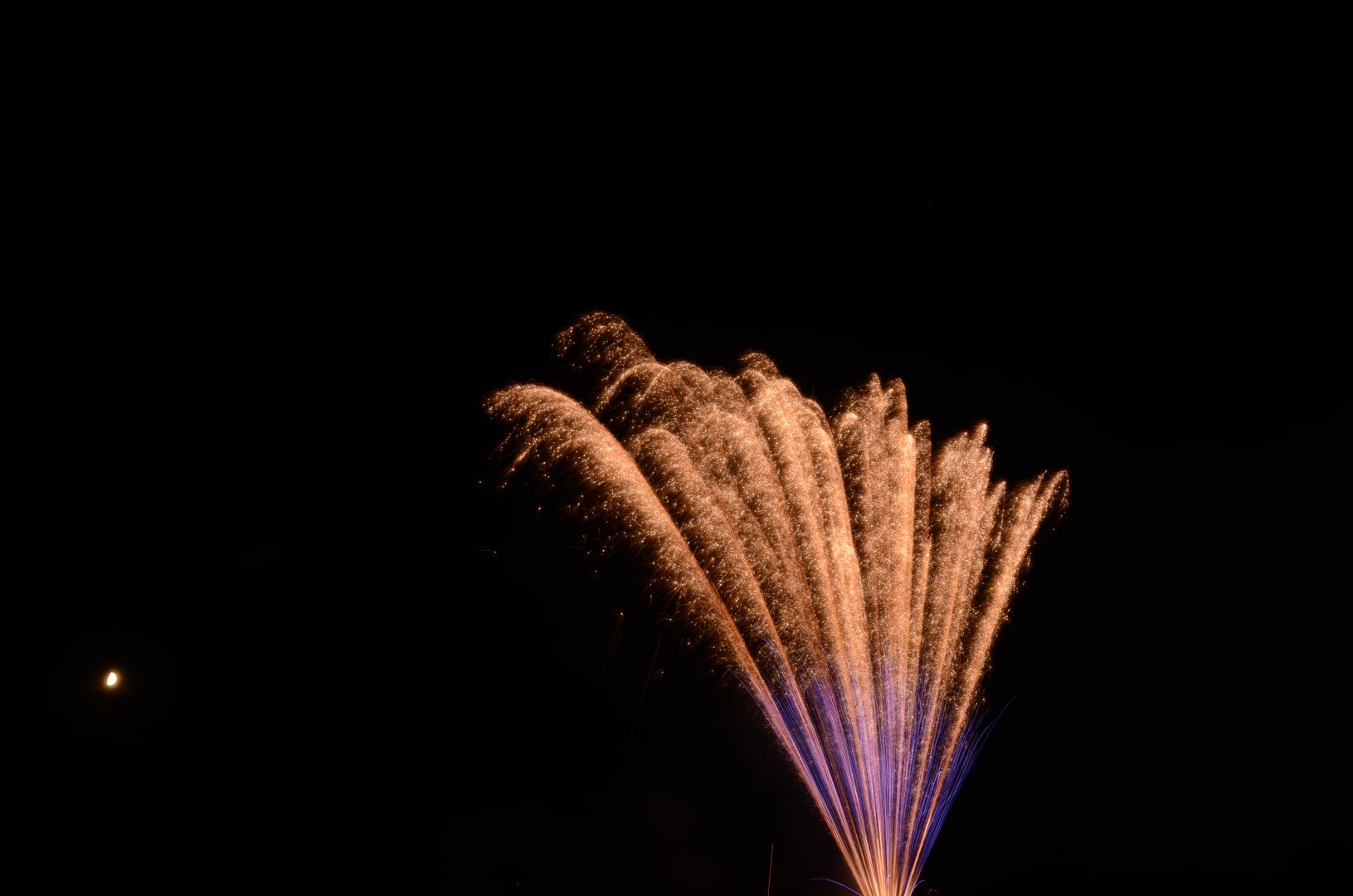 DSC_3463.JPG