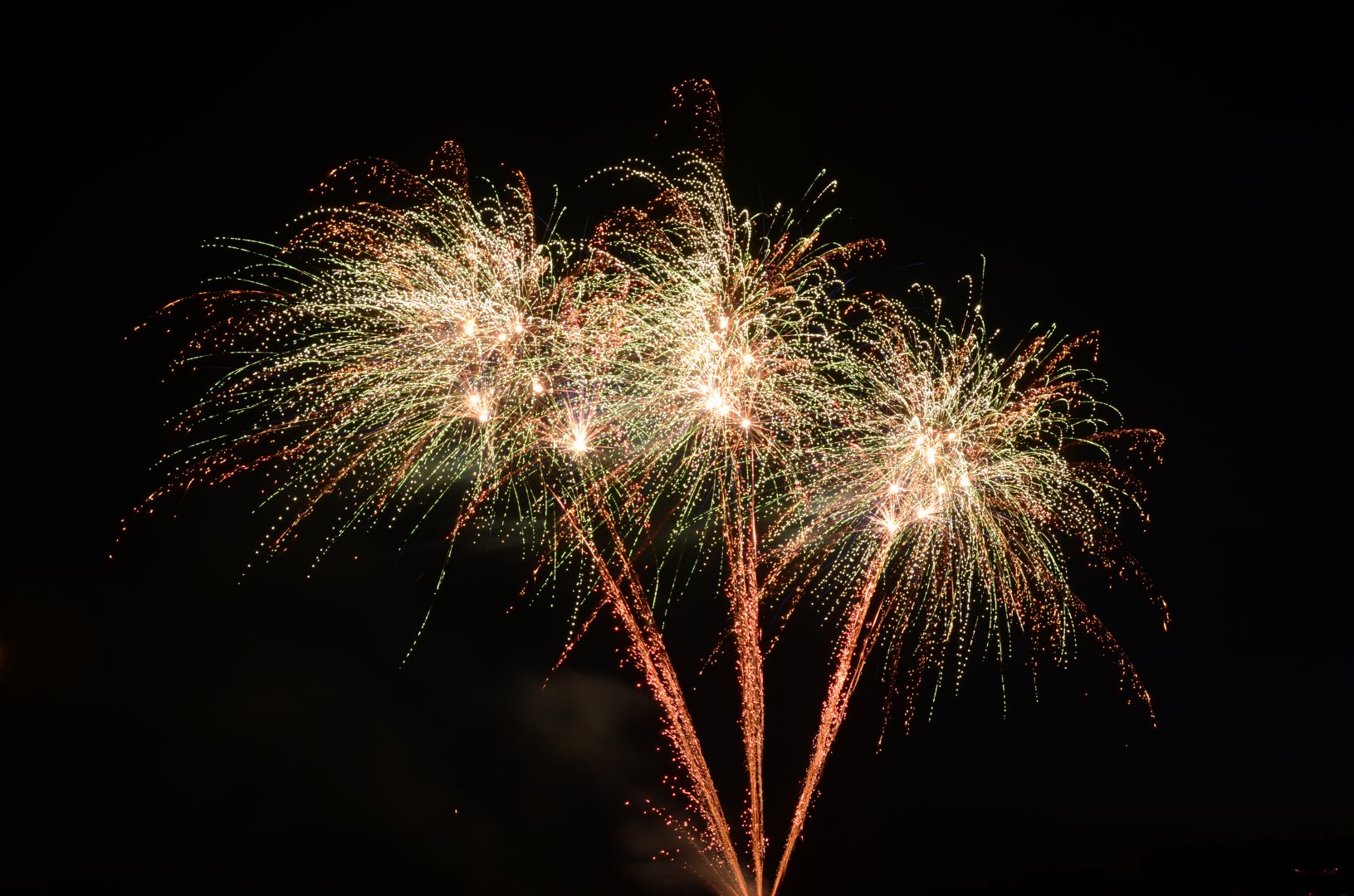 DSC_3524.JPG