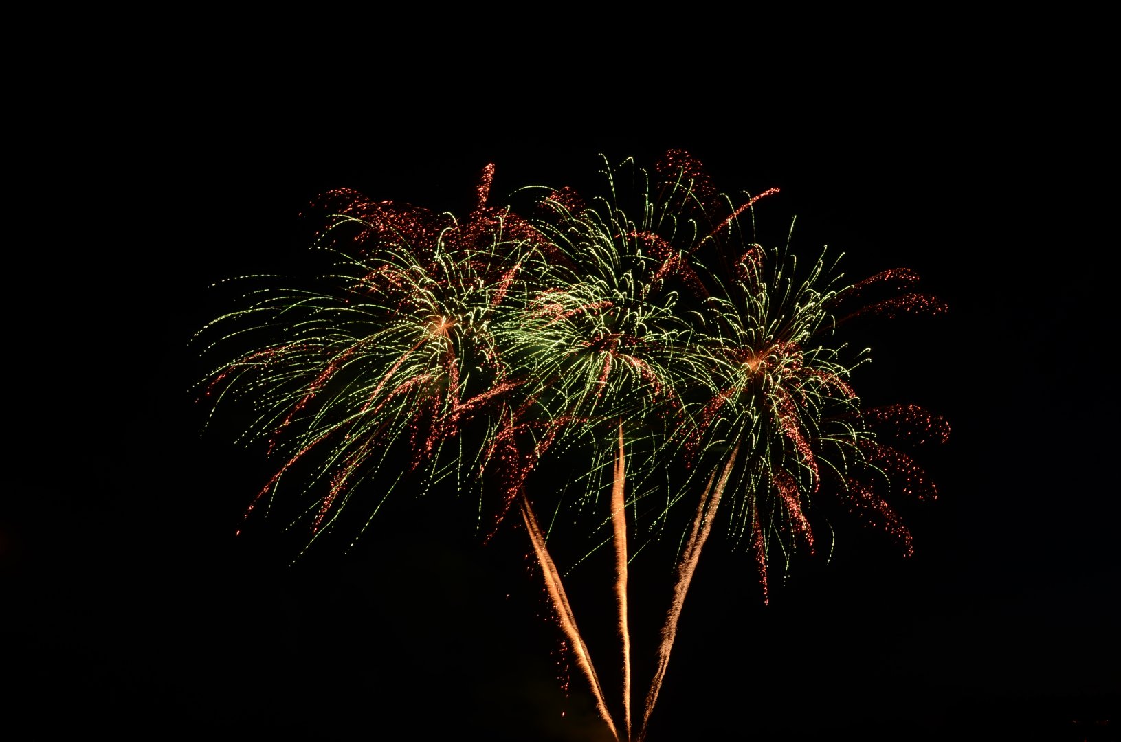 DSC_3526.JPG
