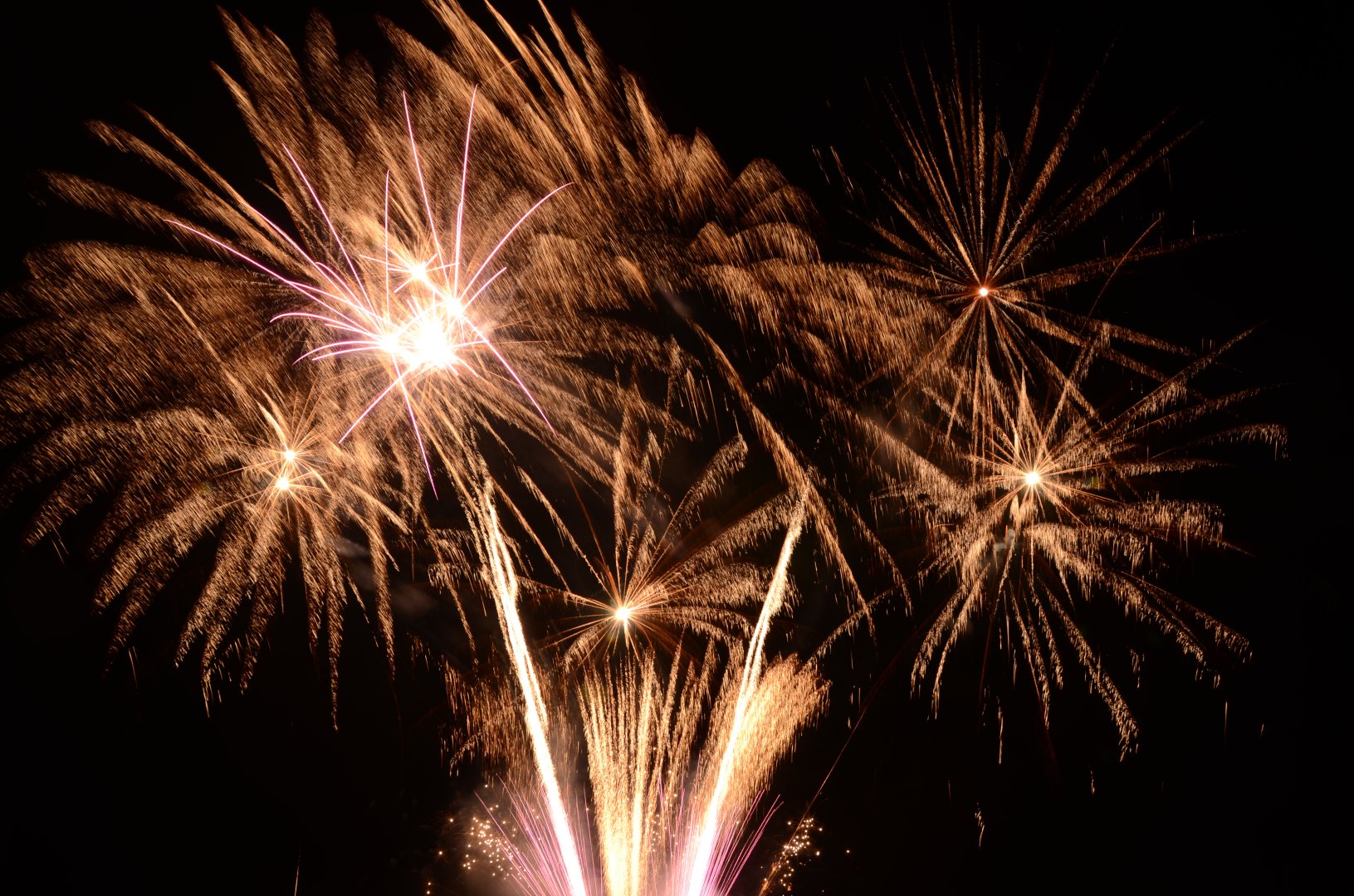 DSC_3678.JPG