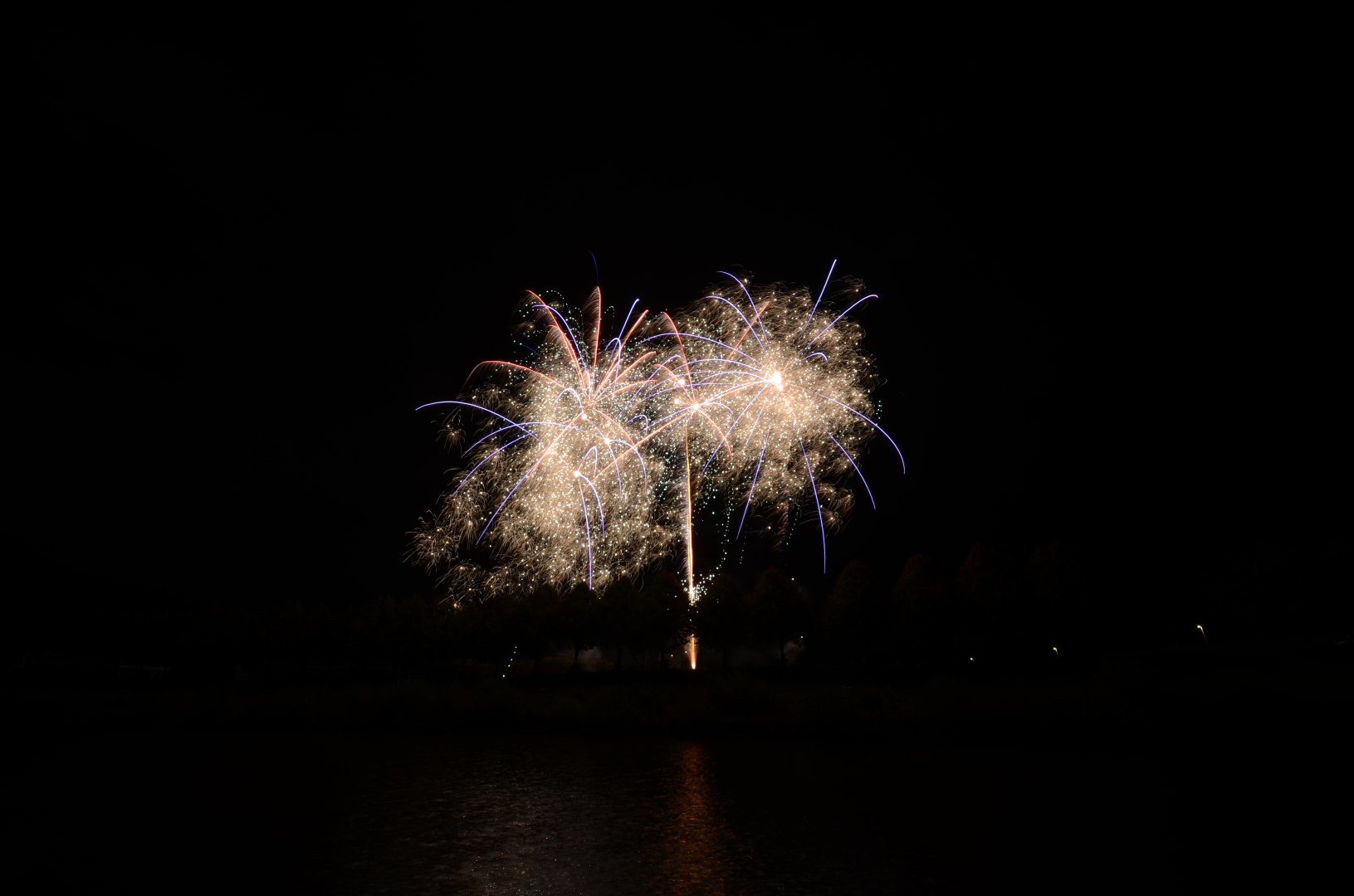 DSC_4724.JPG