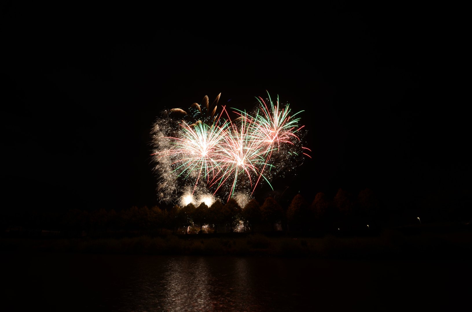 DSC_4735.JPG