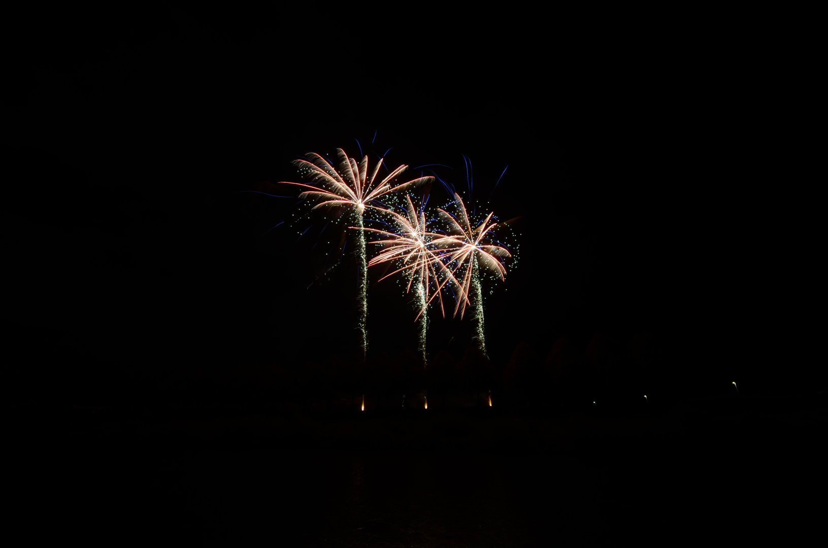 DSC_4738.JPG