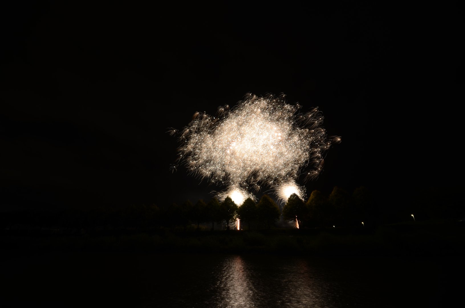 DSC_4748.JPG