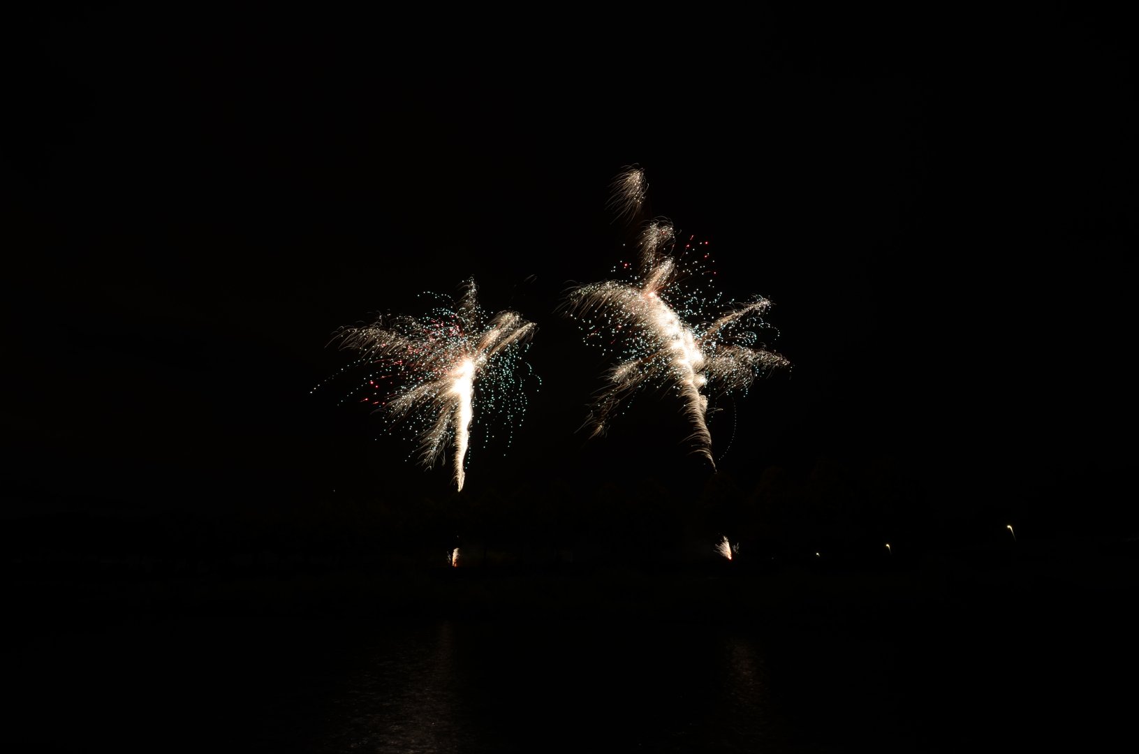 DSC_4753.JPG