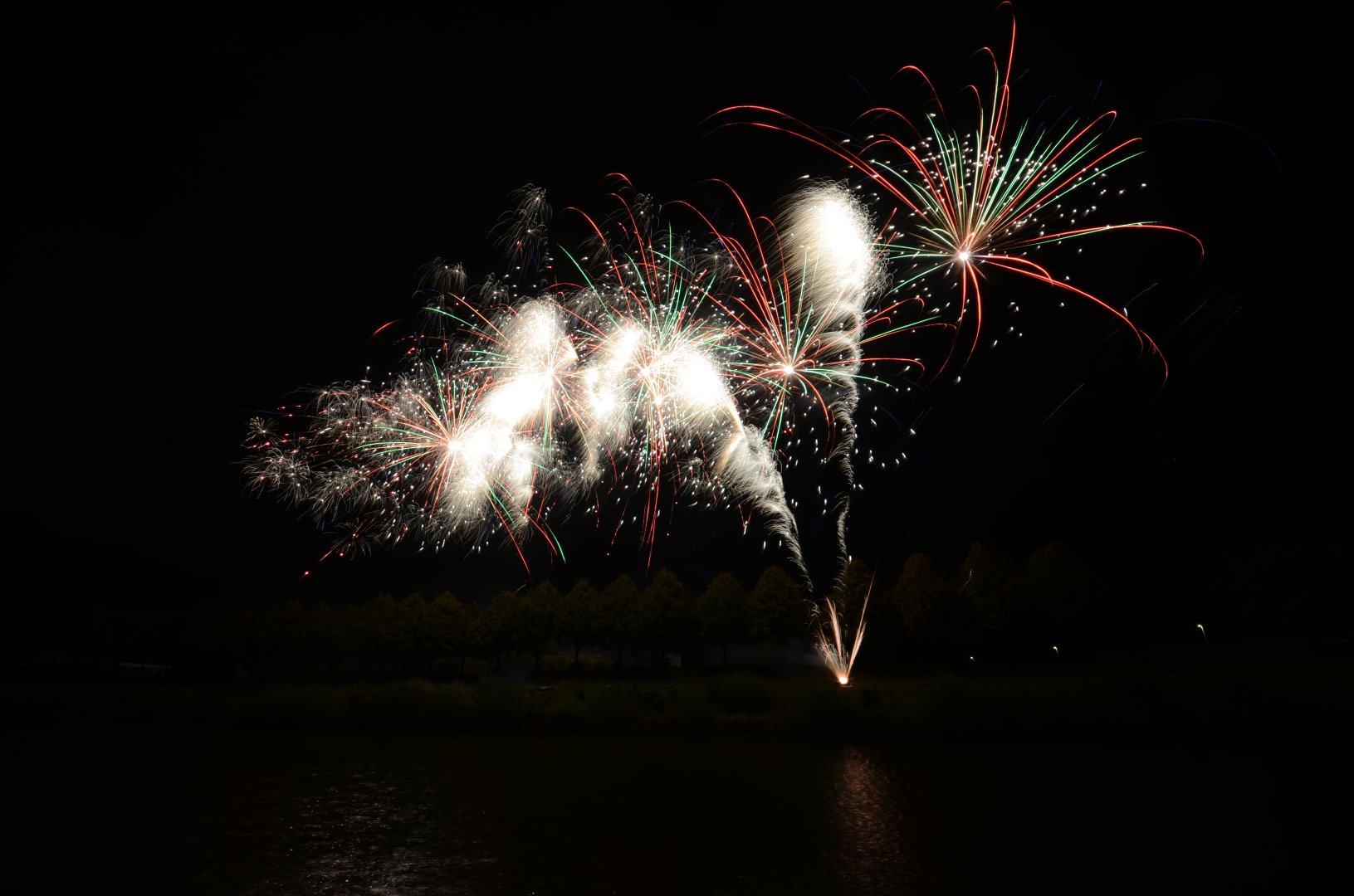 DSC_4768.JPG