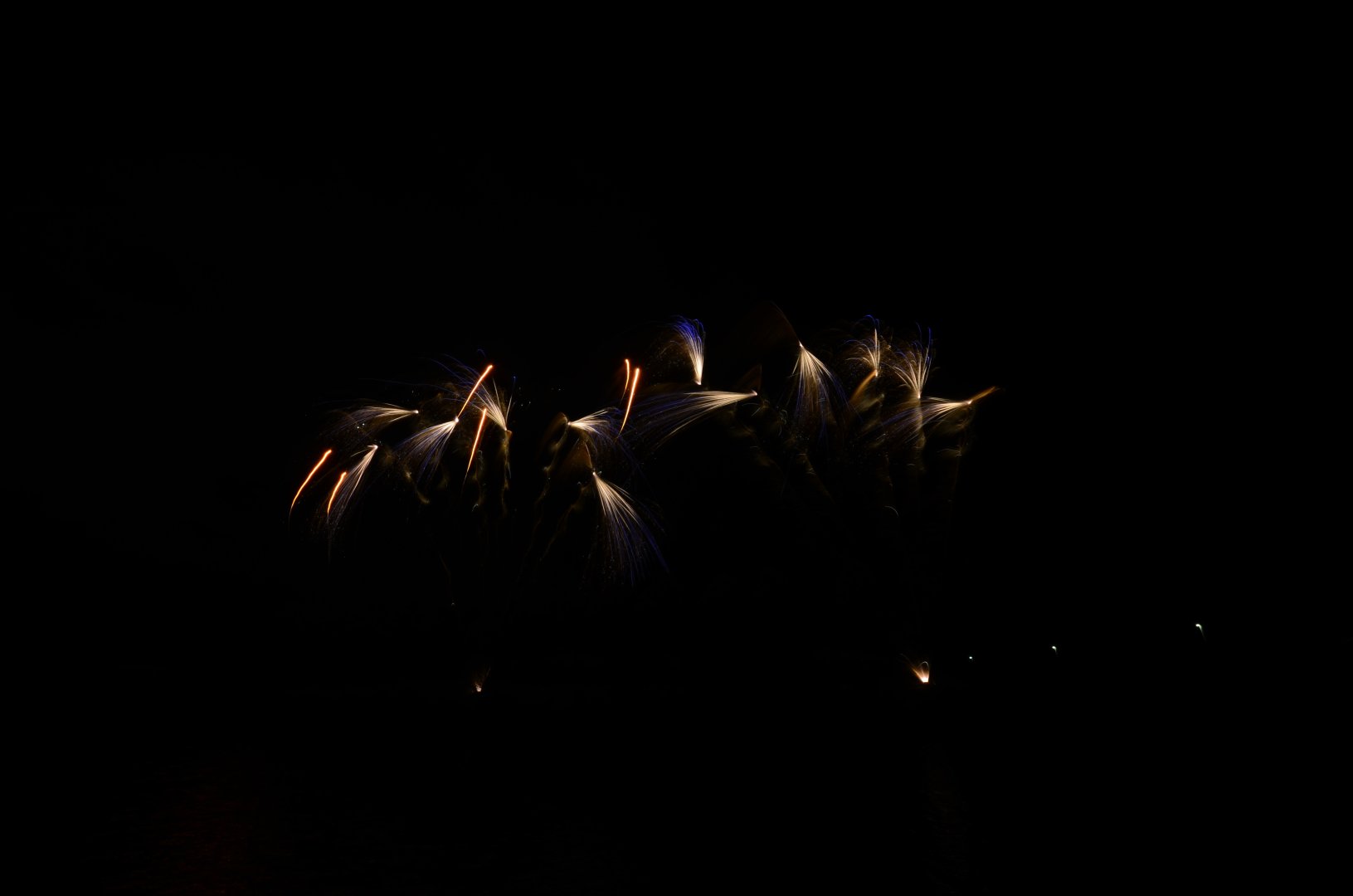DSC_4778.JPG