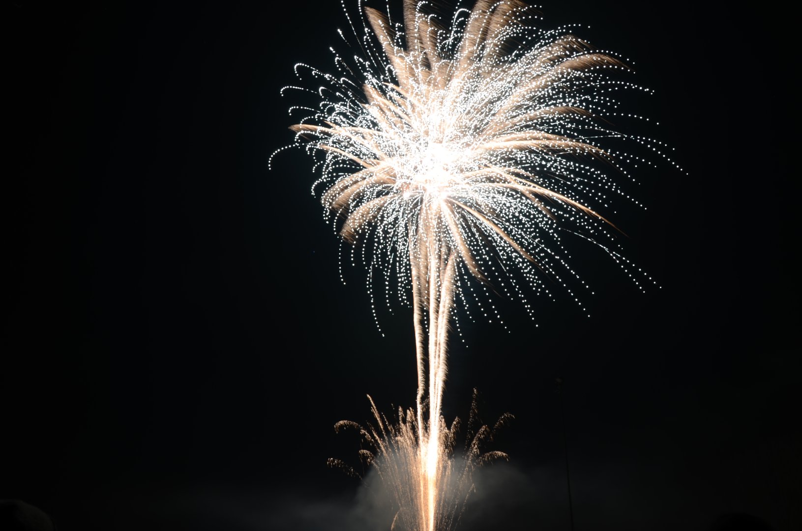DSC_5017.JPG